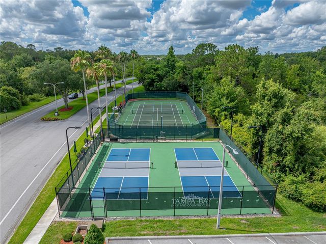 10817 HOCK LANE, San Antonio, FL 33576