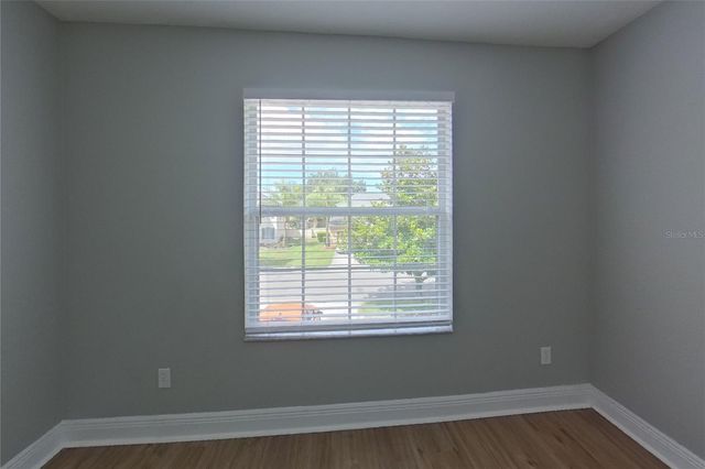 30136 JUTLAND COURT, Mount Dora, FL 32757