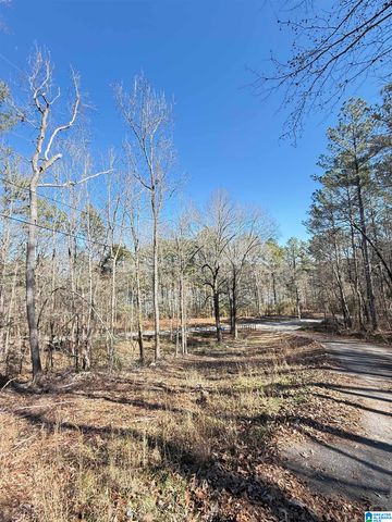 295 COUNTRY LANE, Talladega, AL 35160