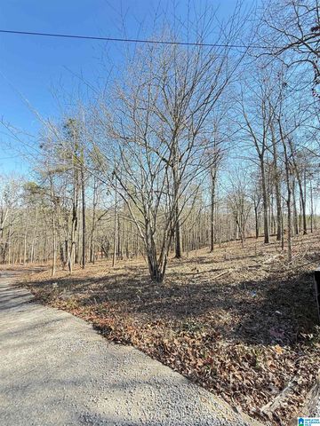 295 COUNTRY LANE, Talladega, AL 35160