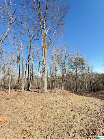 295 COUNTRY LANE, Talladega, AL 35160