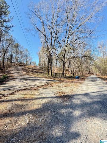 295 COUNTRY LANE, Talladega, AL 35160
