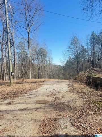 295 COUNTRY LANE, Talladega, AL 35160