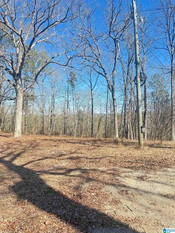 295 COUNTRY LANE, Talladega, AL 35160