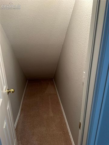 856 Cima Vista Point, Colorado Springs, CO 80916