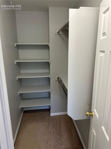 856 Cima Vista Point, Colorado Springs, CO 80916
