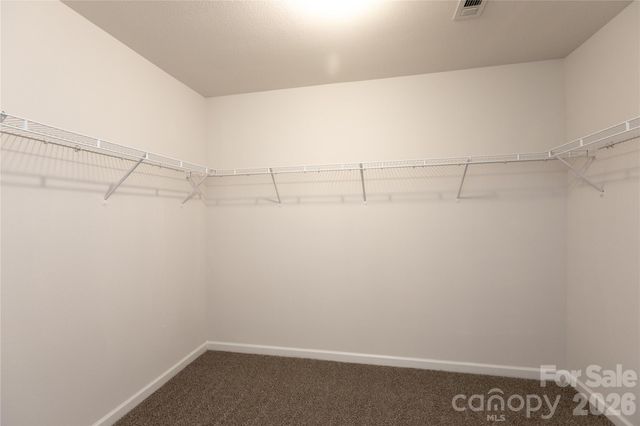 13925 Allison Forest Trail, Charlotte, NC 28278