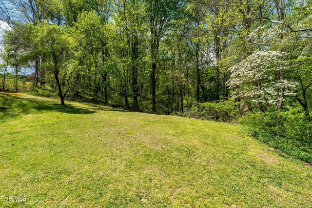 248 Cable Hollow Road, Butler, TN 37640