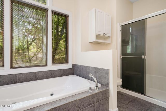 248 Cable Hollow Road, Butler, TN 37640