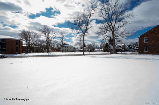 13505 Greiner Street, Detroit, MI 48205