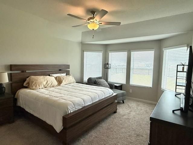 1403 Cascade Hills Drive, Rosharon, TX 77583