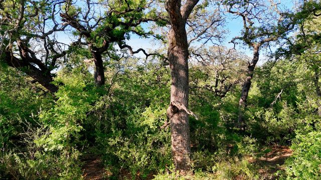 TBD Madden Ranch RD, Llano, TX 78643