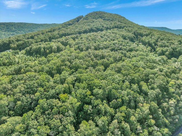0 Browbend Drive 4, Guild, TN 37340