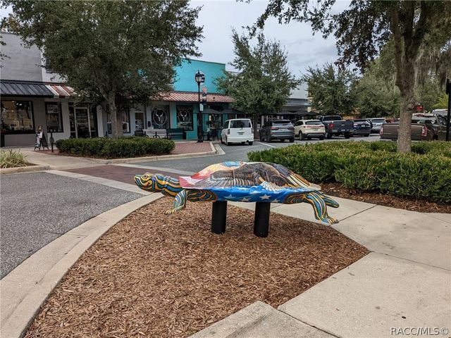 6094 E Rush Street, Inverness, FL 34452