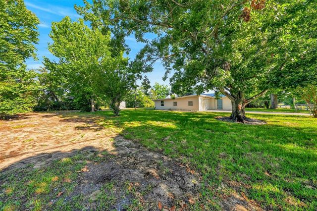 34125 S HAINES CREEK ROAD, Leesburg, FL 34788
