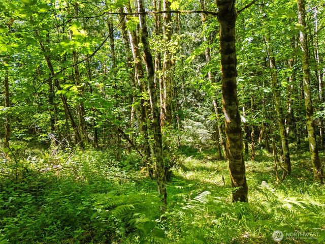 0 TR D E Jared Road, Shelton, WA 98584