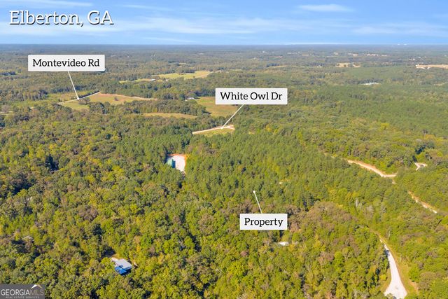 0 Long Pine Lane LOT 13, Elberton, GA 30635
