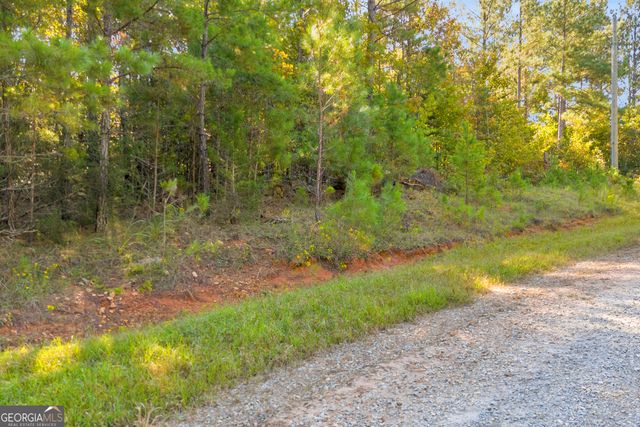 0 Long Pine Lane LOT 13, Elberton, GA 30635