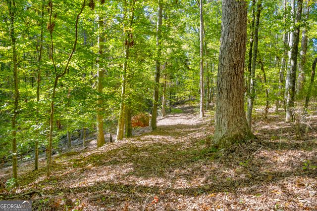 0 Long Pine Lane LOT 13, Elberton, GA 30635