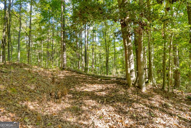 0 Long Pine Lane LOT 13, Elberton, GA 30635