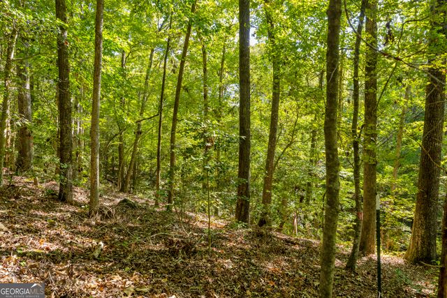 0 Long Pine Lane LOT 13, Elberton, GA 30635