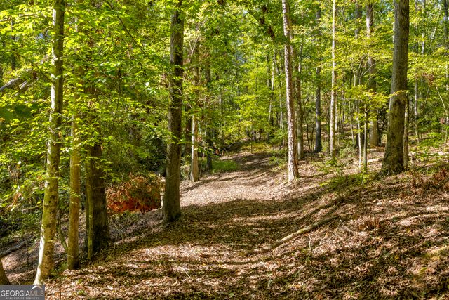 0 Long Pine Lane LOT 13, Elberton, GA 30635