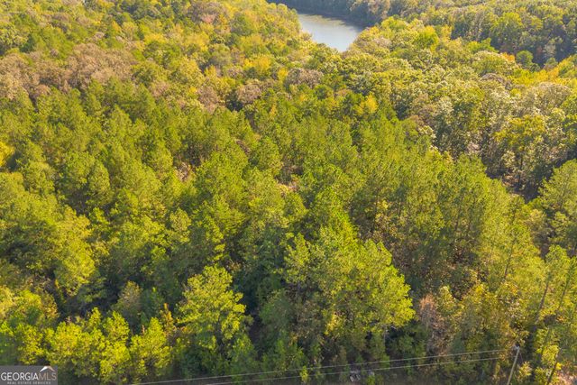 0 Long Pine Lane LOT 13, Elberton, GA 30635