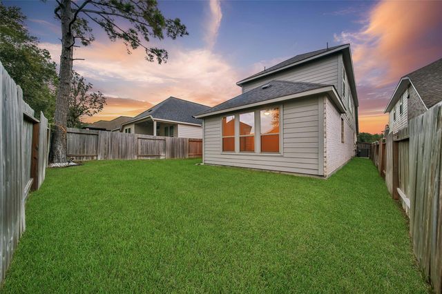 317 Rise Lane, Montgomery, TX 77316