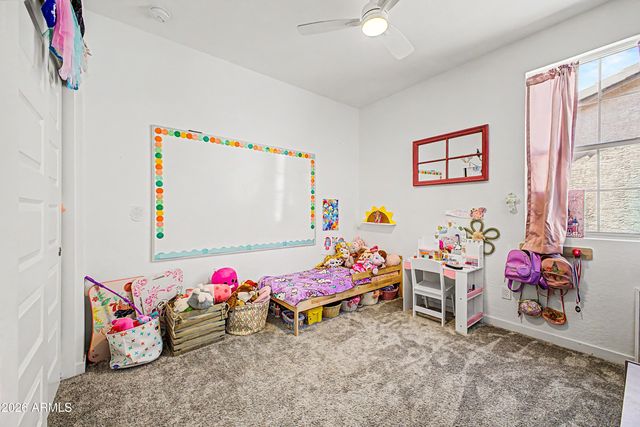 12117 W LEVI Drive, Avondale, AZ 85323