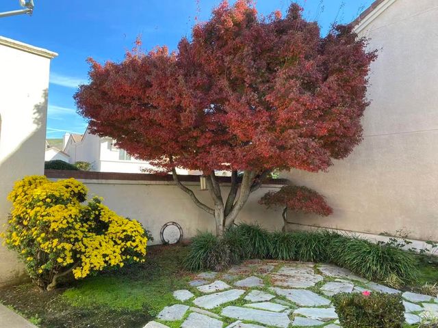 2190 Canyon Lakes Dr, San Ramon, CA 94582