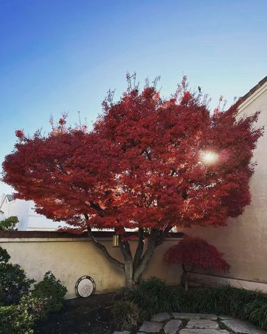 2190 Canyon Lakes Dr, San Ramon, CA 94582