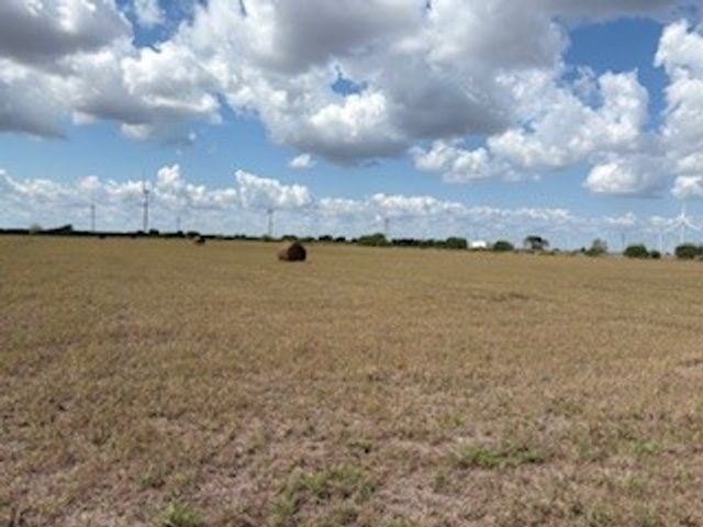 16903 FM 630, Odem, TX 78370