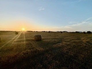 16903 FM 630, Odem, TX 78370