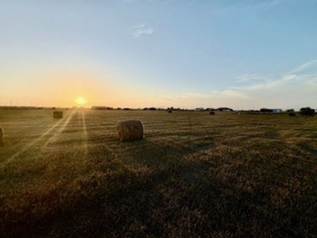 16903 FM 630, Odem, TX 78370