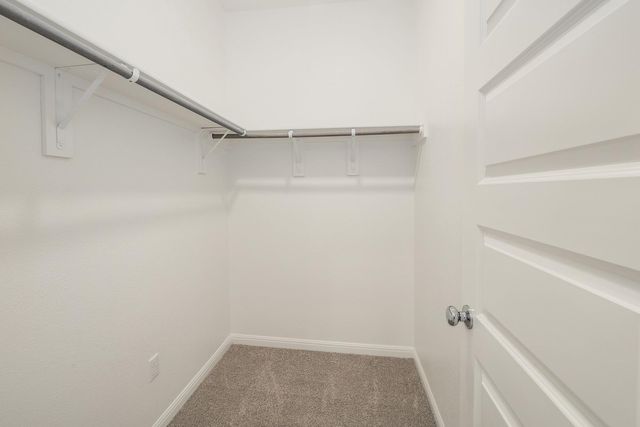 222 Hornet ST, Elgin, TX 78621