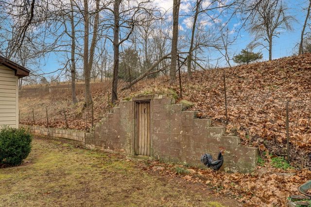 300 Lane Branch Road, Crane, MO 65633