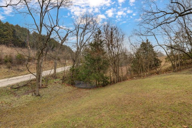 300 Lane Branch Road, Crane, MO 65633