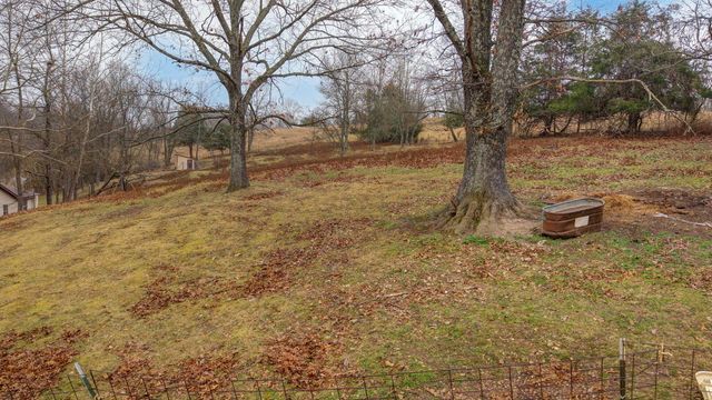 300 Lane Branch Road, Crane, MO 65633