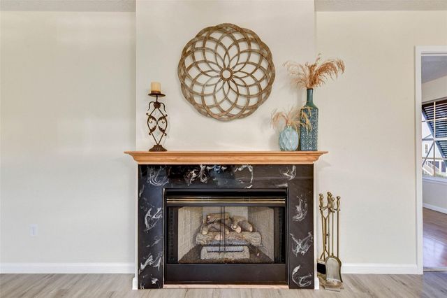 221 Flamingo Drive, Anahuac, TX 77514