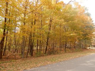 1 Harlan Drive, Watervliet, MI 49098