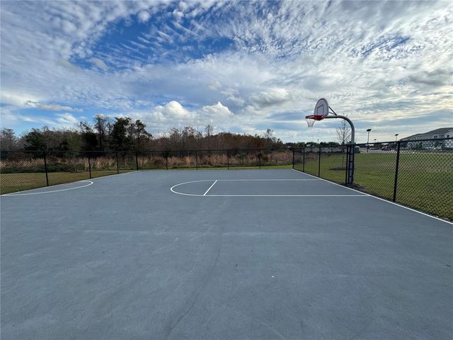 17272 BIGLEAF MAHOGANY LANE, Land O Lakes, FL 34638