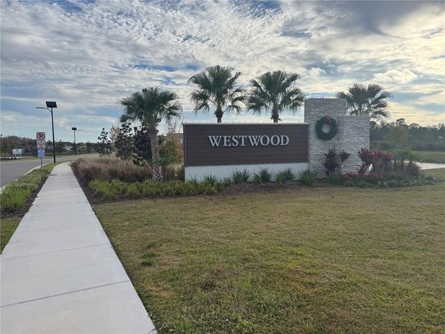 17272 BIGLEAF MAHOGANY LANE, Land O Lakes, FL 34638