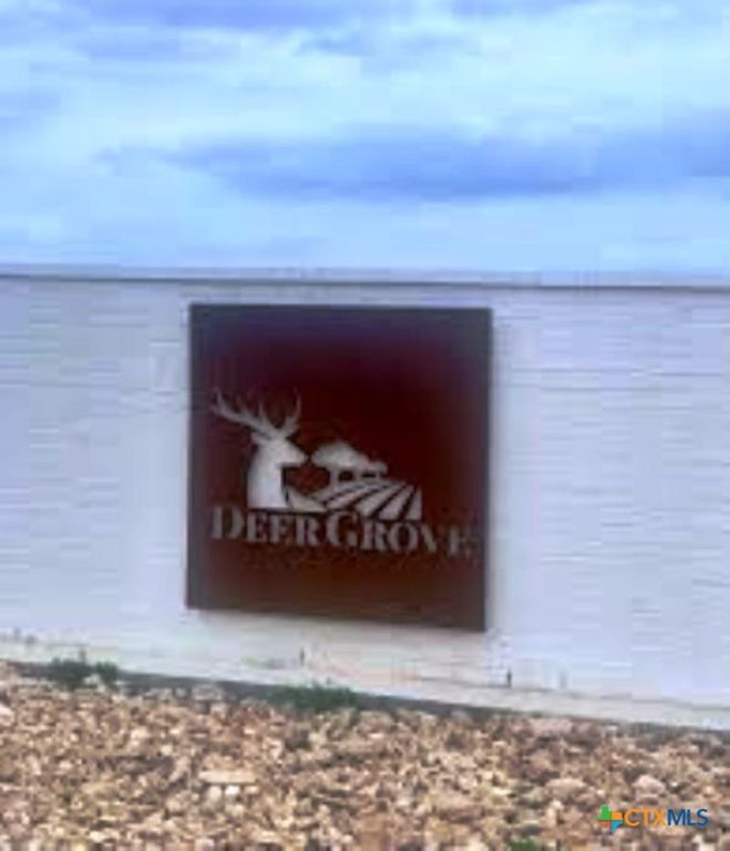 8175 Travertine Lane, Moffat, TX 76502