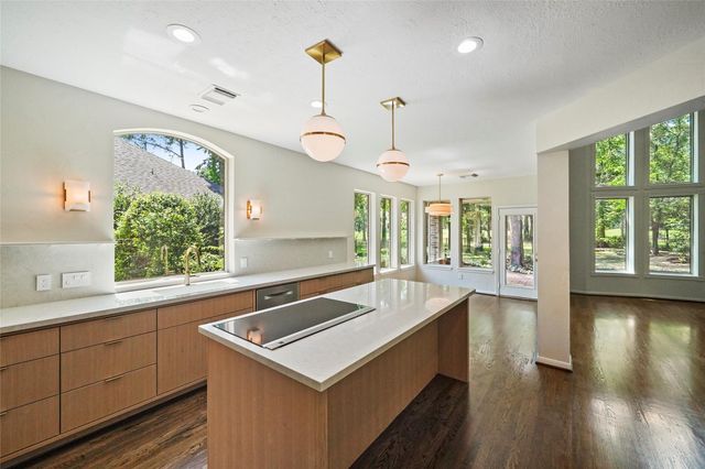 38 N Castlegreen Circle, The Woodlands, TX 77381