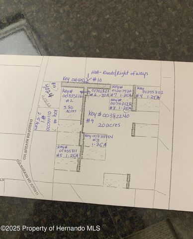 0 Culbreath Road, Brooksville, FL 34602