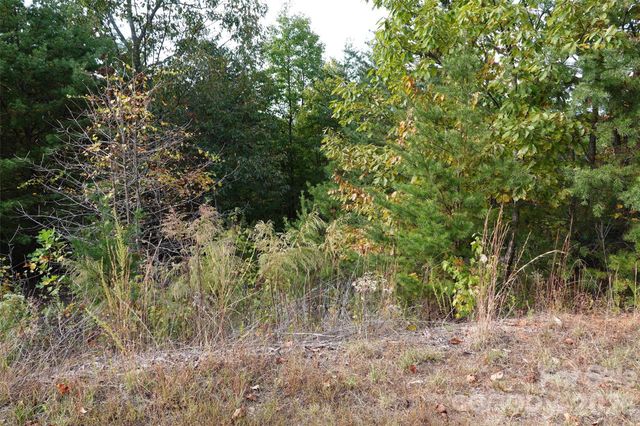 109 Ampersand Trail, Bostic, NC 28018