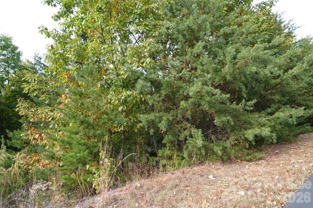 109 Ampersand Trail, Bostic, NC 28018
