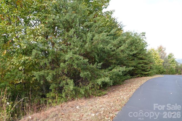 109 Ampersand Trail, Bostic, NC 28018