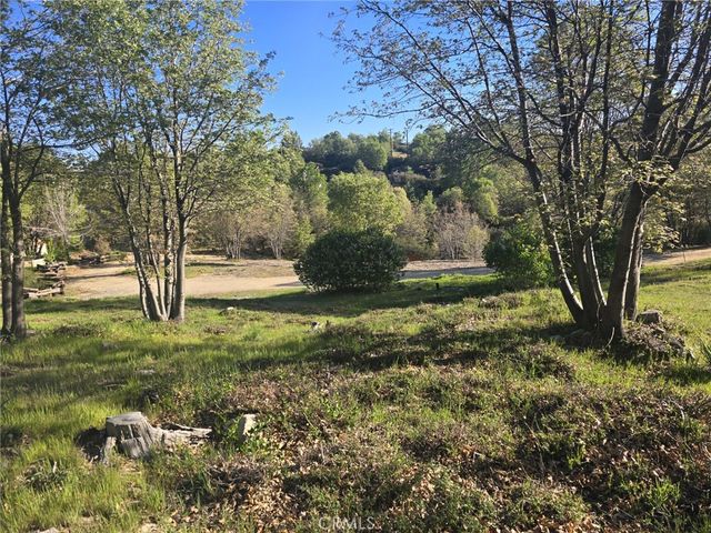 29783 Redwood, Cedar Glen, CA 92321