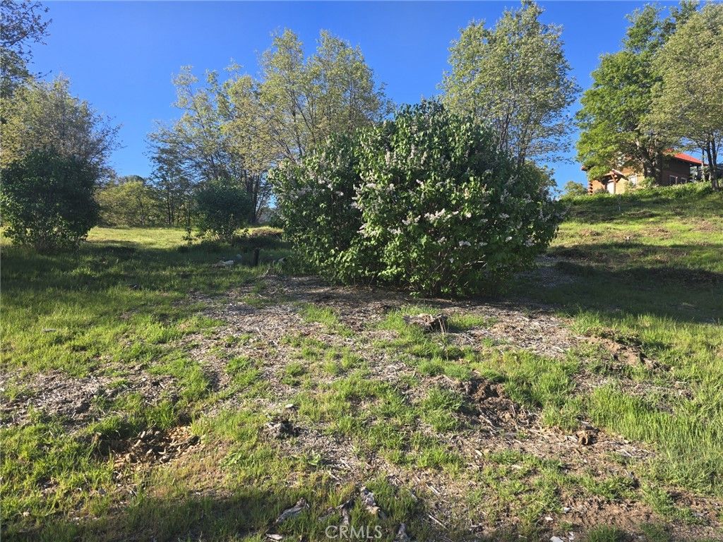 29783 Redwood, Cedar Glen, CA 92321